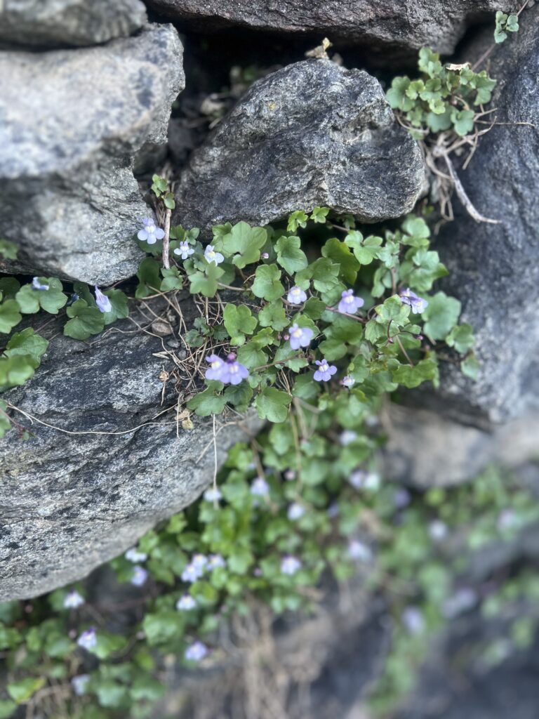 footer hero big 150x150.jpg