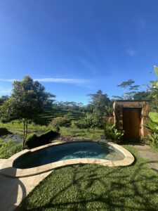 Sidemen rice terrace